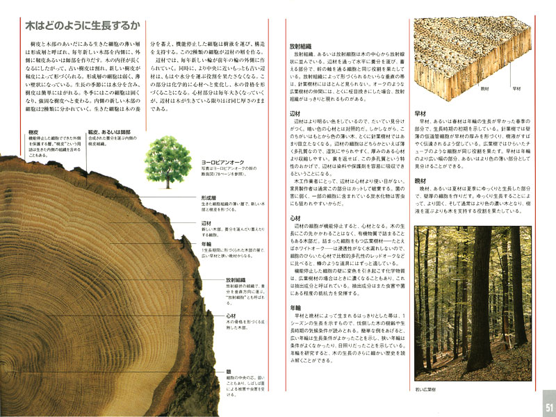 木工技術全集のご案内